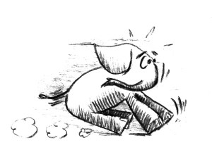 Elefant 3 ... bremst.